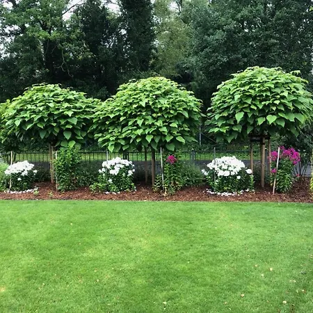 Im Gruenen Lilienthal (Lower-Saxony)